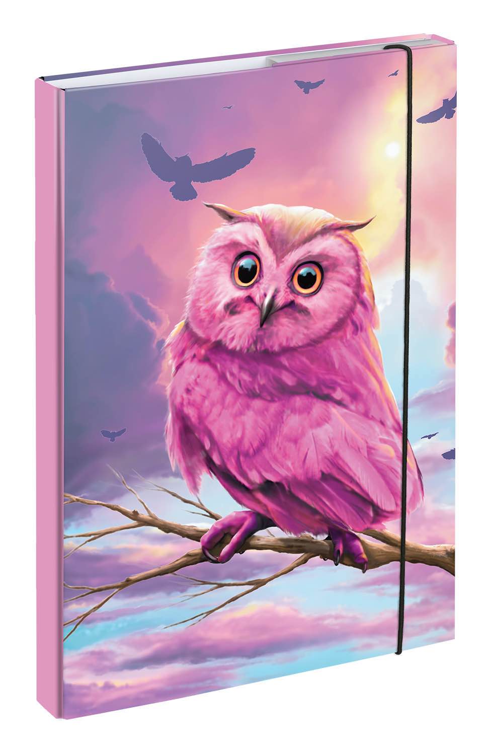 Zippy Owl II iskolai szett