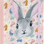 A5-ös iskolai irattartó, Bunny