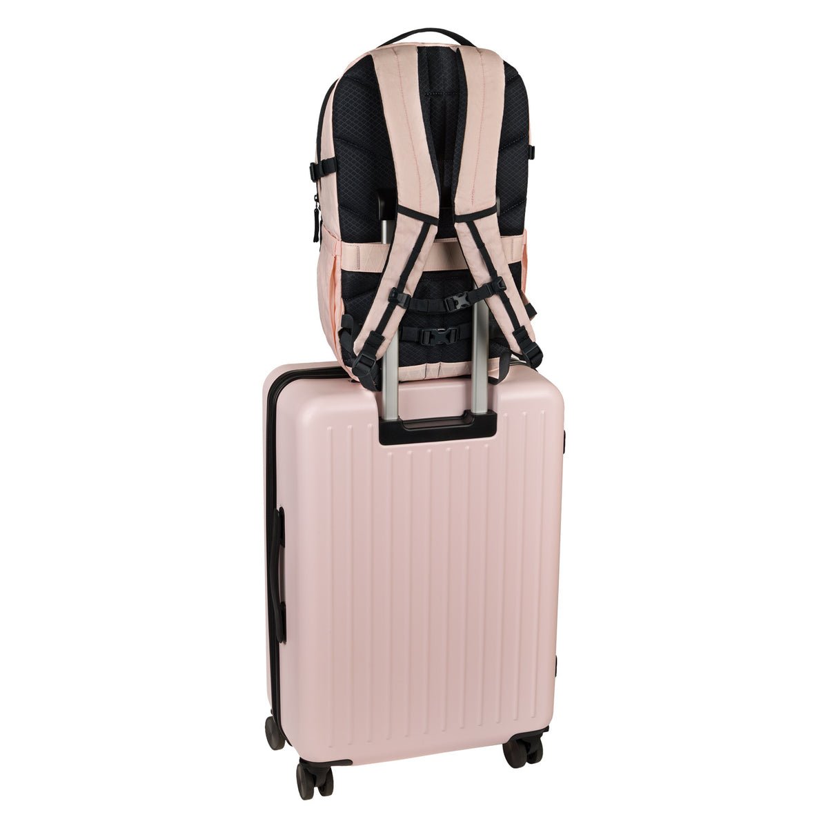 Hátizsák Dash Max Pink TX