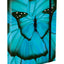 Iskolai szett Ergo Butterfly III
