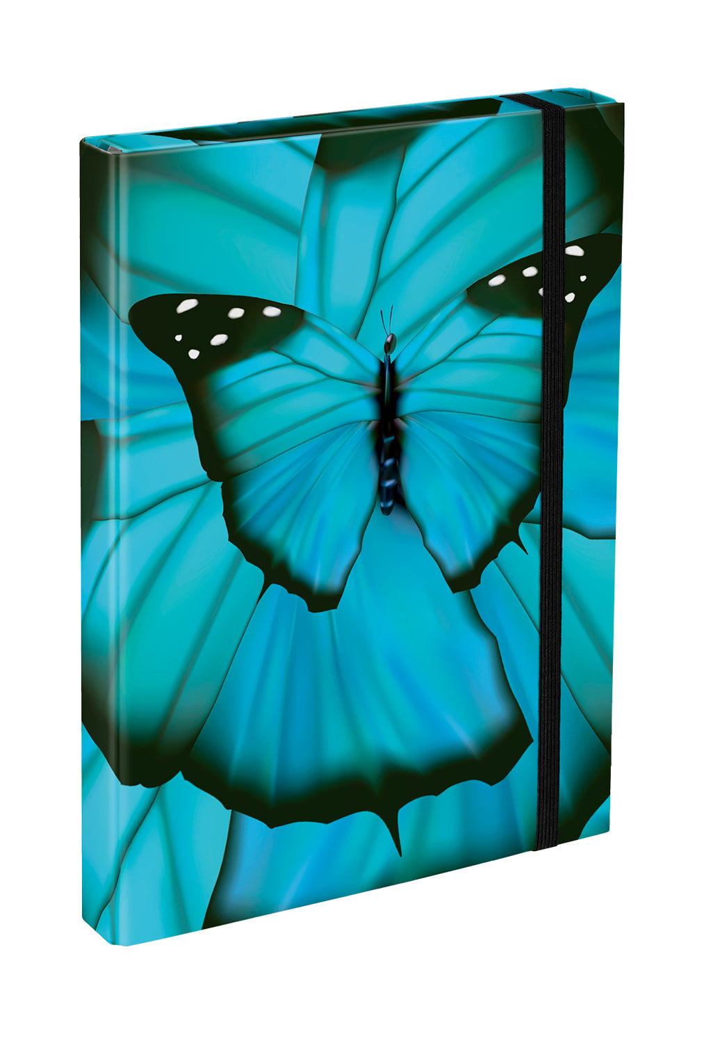 Iskolai szett Ergo Butterfly III